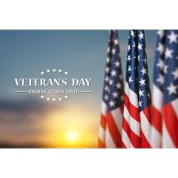 Veteran's Day Hillsboro Texas 2025