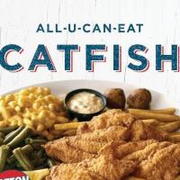 All You Can Eat Catfish at Wrangler's Cafe & Entertainment