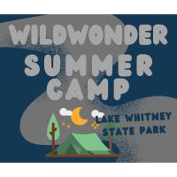 Wild Wonder Summer Camp