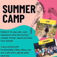 Horse Day Camp
