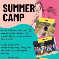 Horse Day Camp