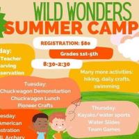 Wild Wonders Summer Camp