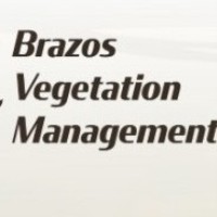Brazos Vegetation Management