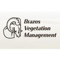 Brazos Vegetation Management