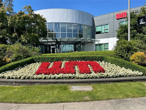 Spring Flower Displays at Wales McLelland