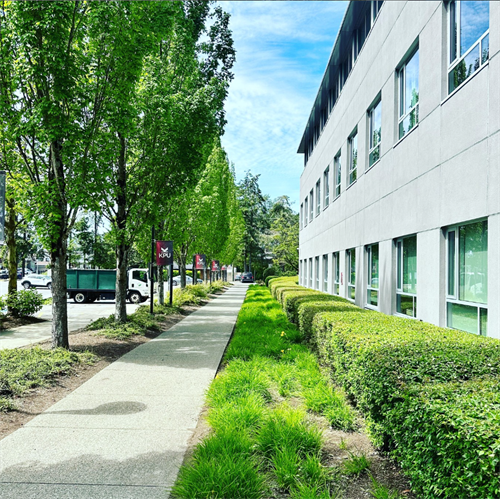  Commercial Maintenance