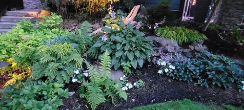 Design and Maintenance