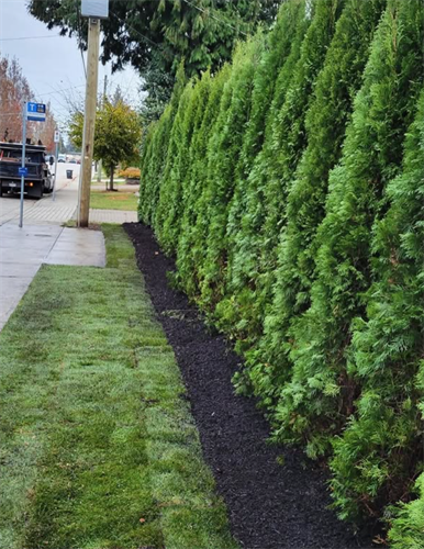 Completed repairs after Fire Damage