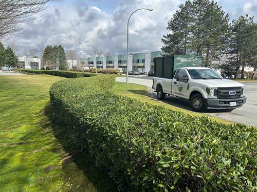 Commercial Landscape Mgmt