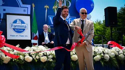 Gallery Image DSC_5075.MOV.00_00_35_05.Still002.jpg