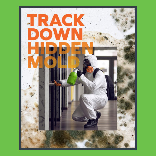 Mold Mitigation & Restoration