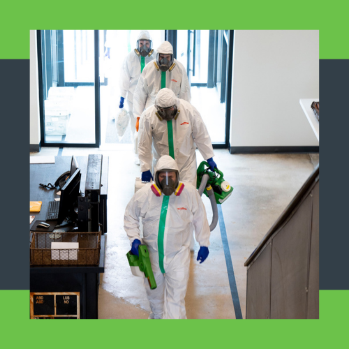 Commercial Mold Mitigation