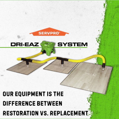 Restoration vs. Replacing