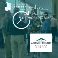 Chamber Networking Mixer - March 2024