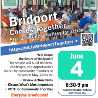 Bridport Comes Together: Prioritization