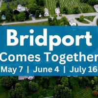 Bridport Comes Together: Action Planning
