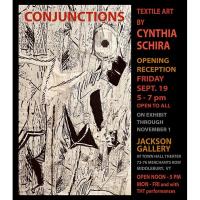 Textile Art by Cynthia Schira-Opening Reception