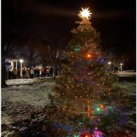 Bristol Memory Tree Lighting