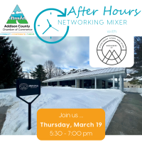 Networking Mixer - March 2026