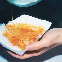 Dakin Farm-Maple Open House Weekend