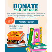 Friends of Ilsley Library Book sale