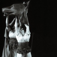 Feral: A Piece About Women & Wolves