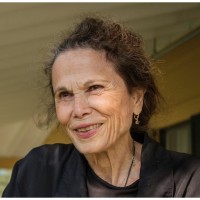 Julia Alvarez Celebrates the Launch of Visitations