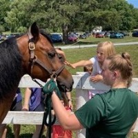 Vermont Day at the UVM Morgan Horse Farm