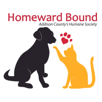 Homeward Bound: Addison County's Humane Society