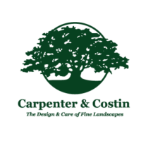 Carpenter & Costin