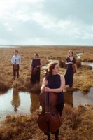 Katarina String Quartet