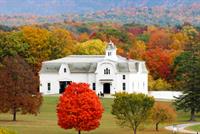 UVM Morgan Horse Farm