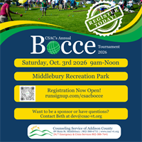 Annual Bocce Tournament!
