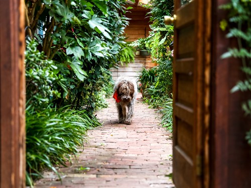 Gallery Image BlueberryHillInn_(26_of_93).JPG