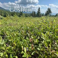 Town of Goshen