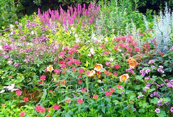 Green Edens Horticultural Services, LLC Green Edens Horticultural Services, LLC