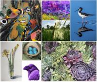 The Fs Have It: Flora, Fauna, & Fascination Opening Reception