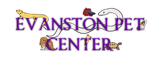 Evanston Pet Center