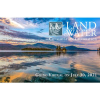 Living Lands - Inspired by Lake George: JS Wooley
