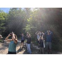 Discover Series: Birding At The Overlook