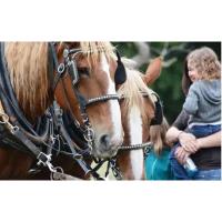 Fort Ticonderoga Heritage, Harvest & Horse Festival