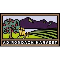 Adirondack Harvest Festival
