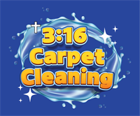 316 Carpet Cleaning
