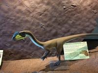 Megapnosaurus replica