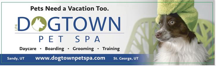 LP4 DogTown Pet Spa