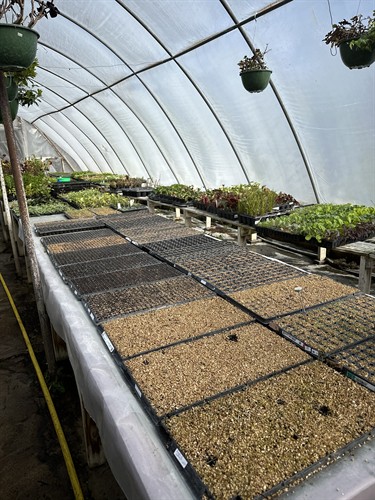 A peek behind the scenes, where we do all the seeding in winter
