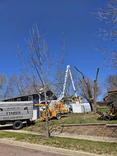 Our Tree Crew provides exceptional tree care in Southeast SD and Northeast NE. Our Tree Crew provides exceptional tree care in Southeast SD and Northeast NE.