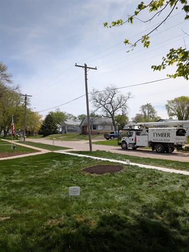 When removing a tree, we backfill the ground out stump with topsoil, ready for grass! When removing a tree, we backfill the ground out stump with topsoil, ready for grass!