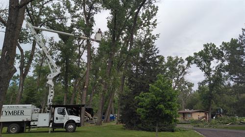We can help in the aftermath of a tree-damaging storm