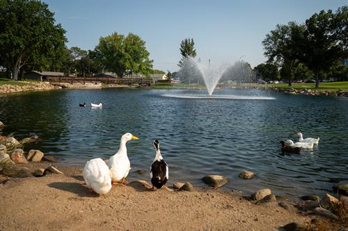 Gallery Image F96454F2-2074-48EB-9DA5-09E8580AE617.jpeg Gallery Image F96454F2-2074-48EB-9DA5-09E8580AE617.jpeg